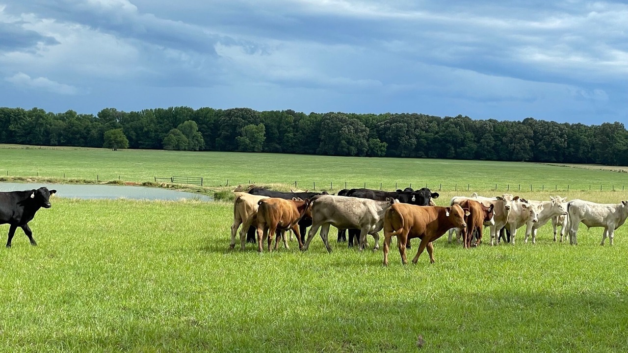 Photo of Others in Murfreesboro