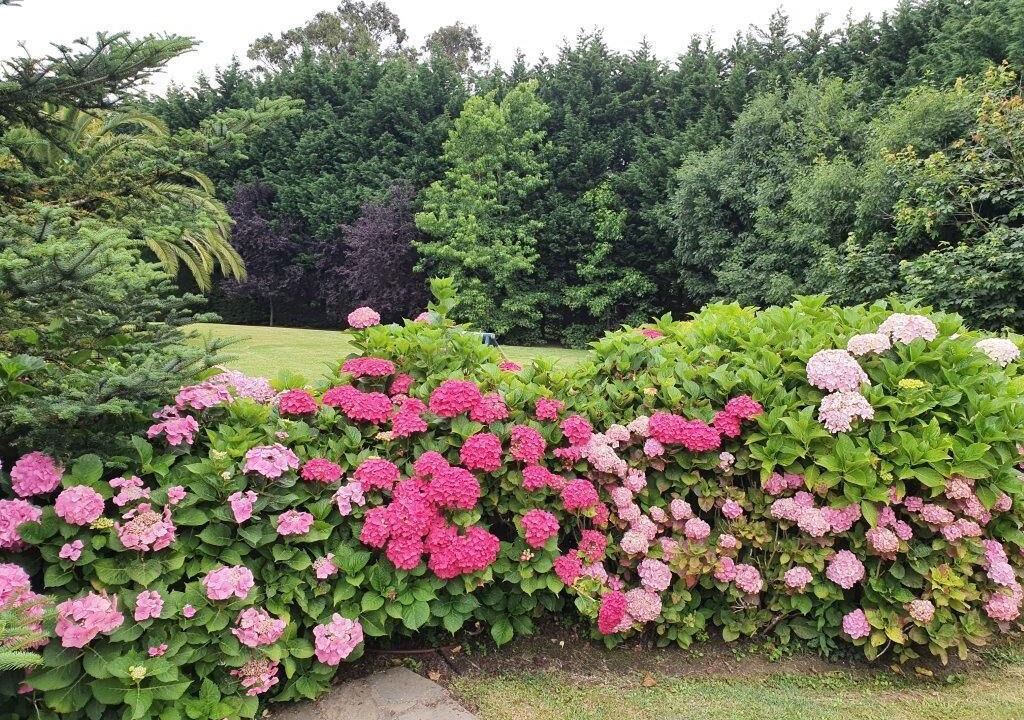 Photo of Outdoor in Somo