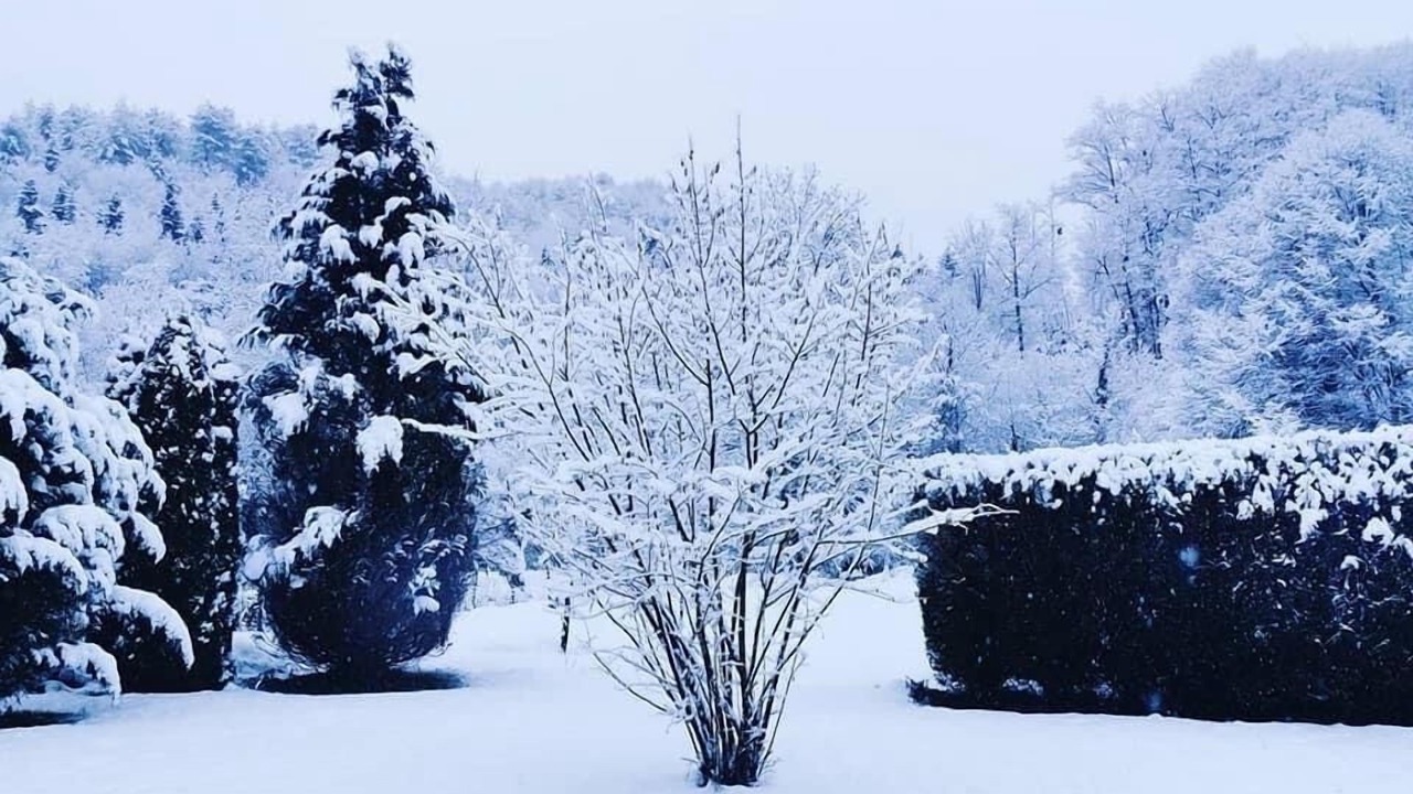 Photo of Others in Lesparrou