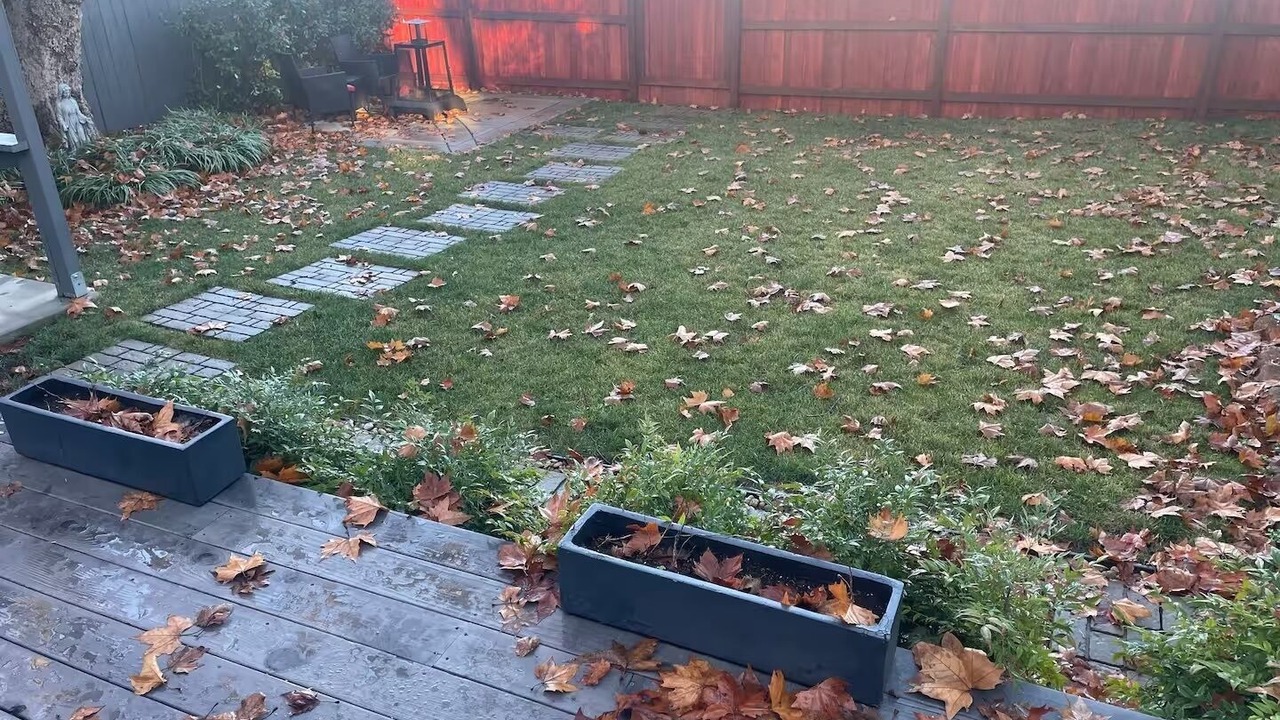 Photo of Outdoor in Roseville