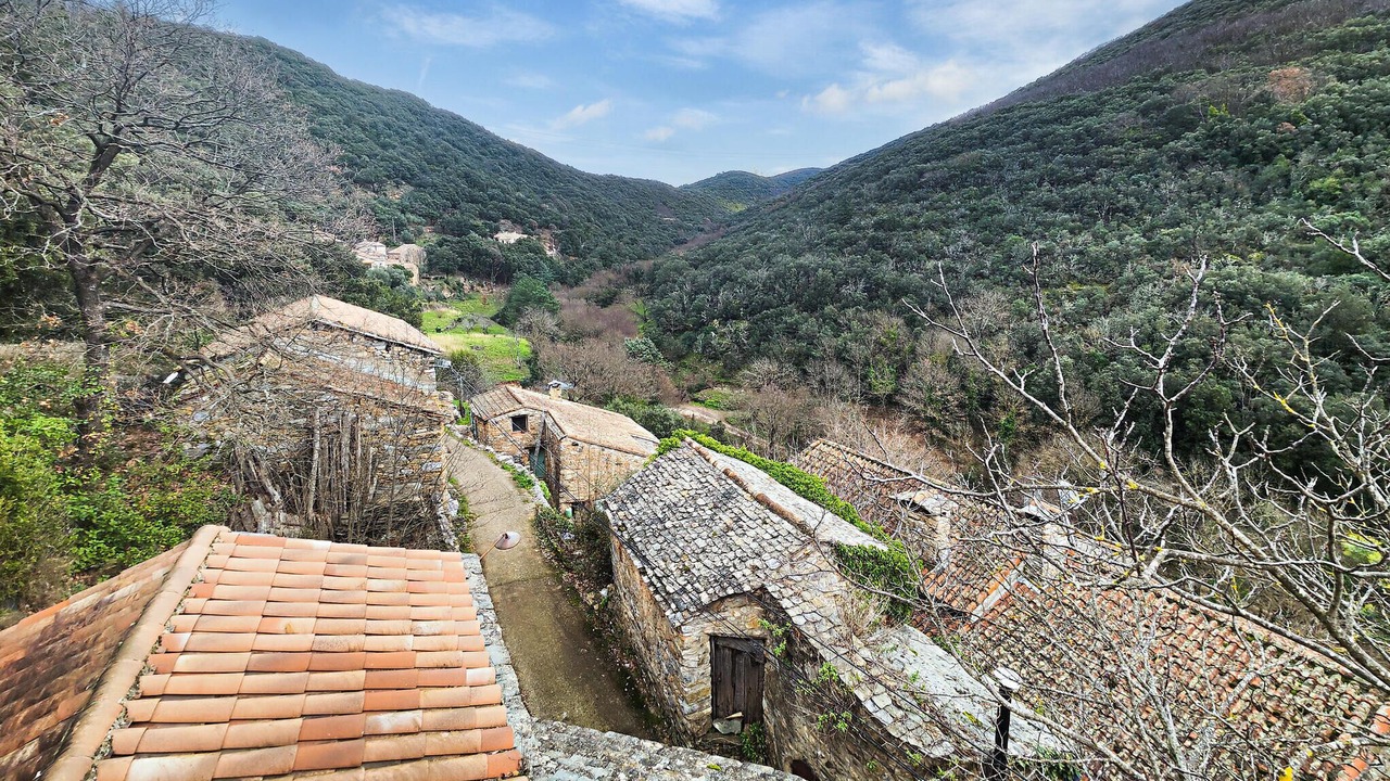 Photo of Bedroom in Olargues