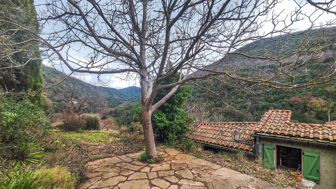 Photo of Others in Olargues