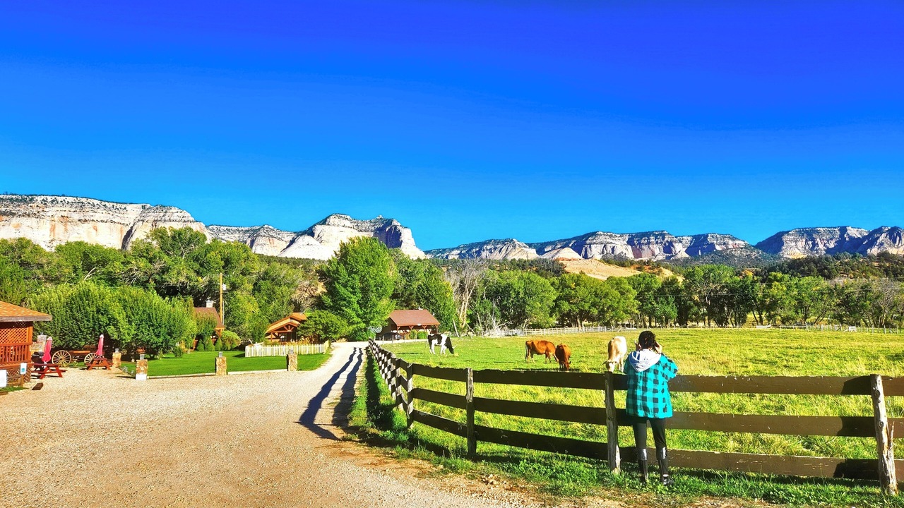 Photo of Others in Zion National Park East Entrance