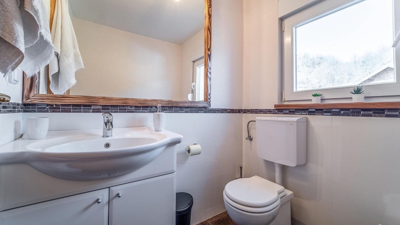 Photo of Bathroom in Hrvatska Kostajnica