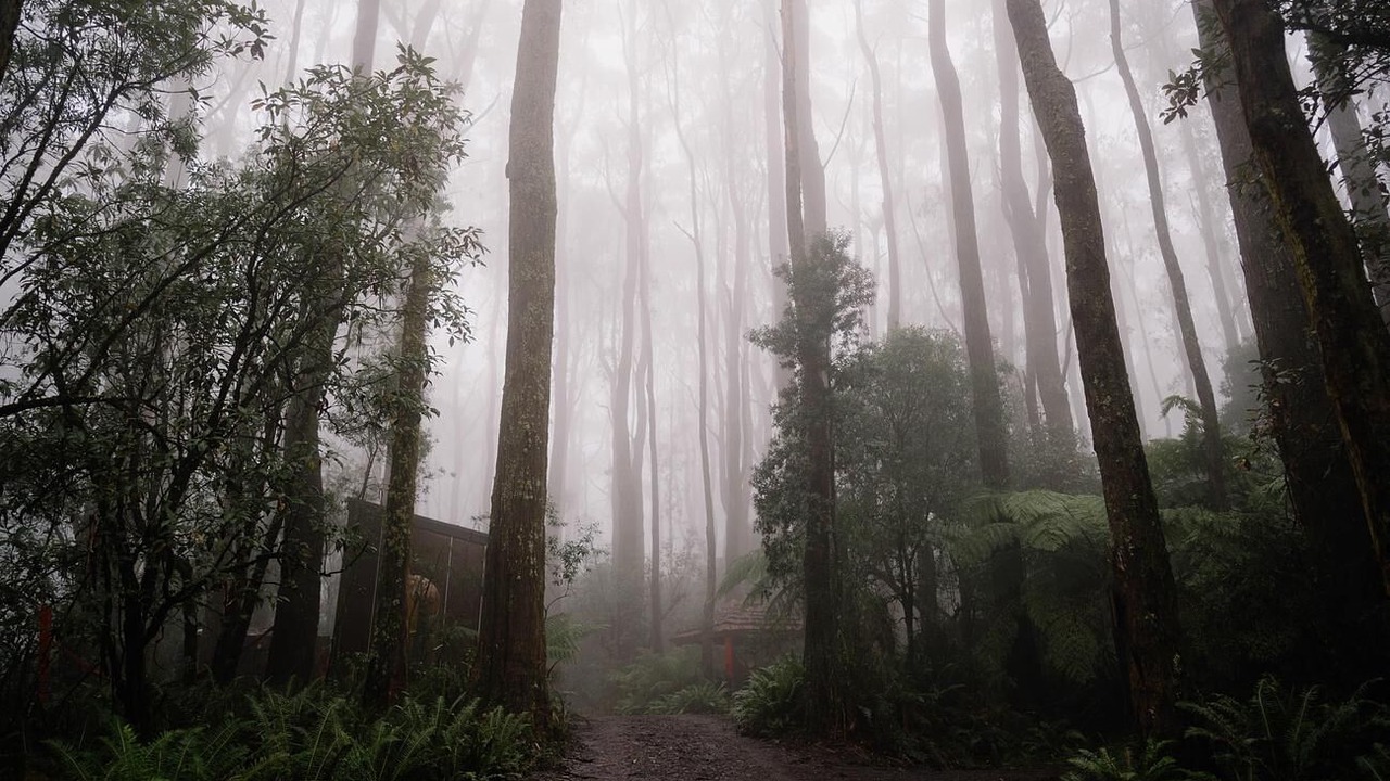 Photo of Outdoor in Benwerrin