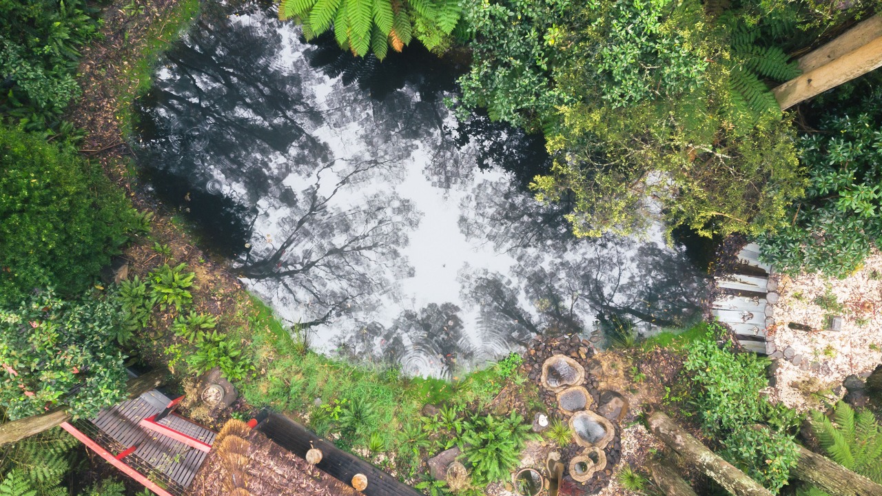 Photo of Outdoor in Benwerrin