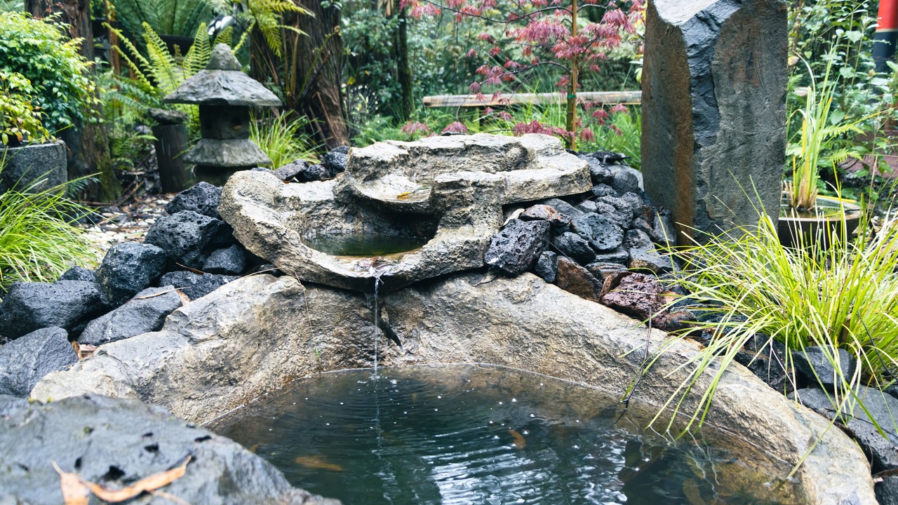 Photo of Outdoor in Benwerrin