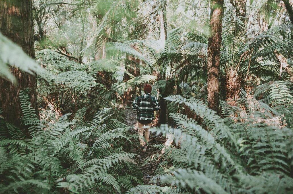 Photo of Outdoor in Benwerrin