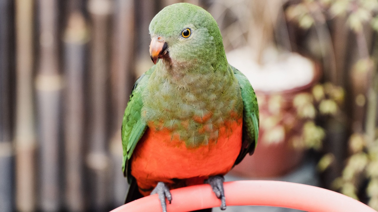 Photo of Others in Benwerrin