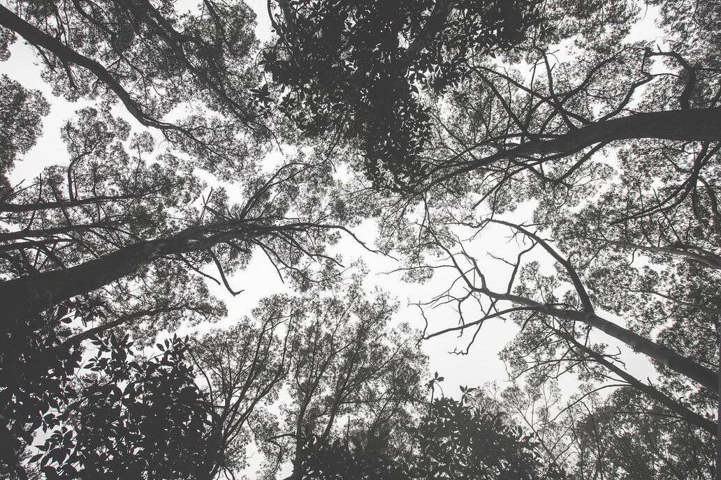 Photo of Others in Benwerrin