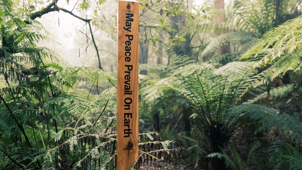 Photo of Outdoor in Benwerrin