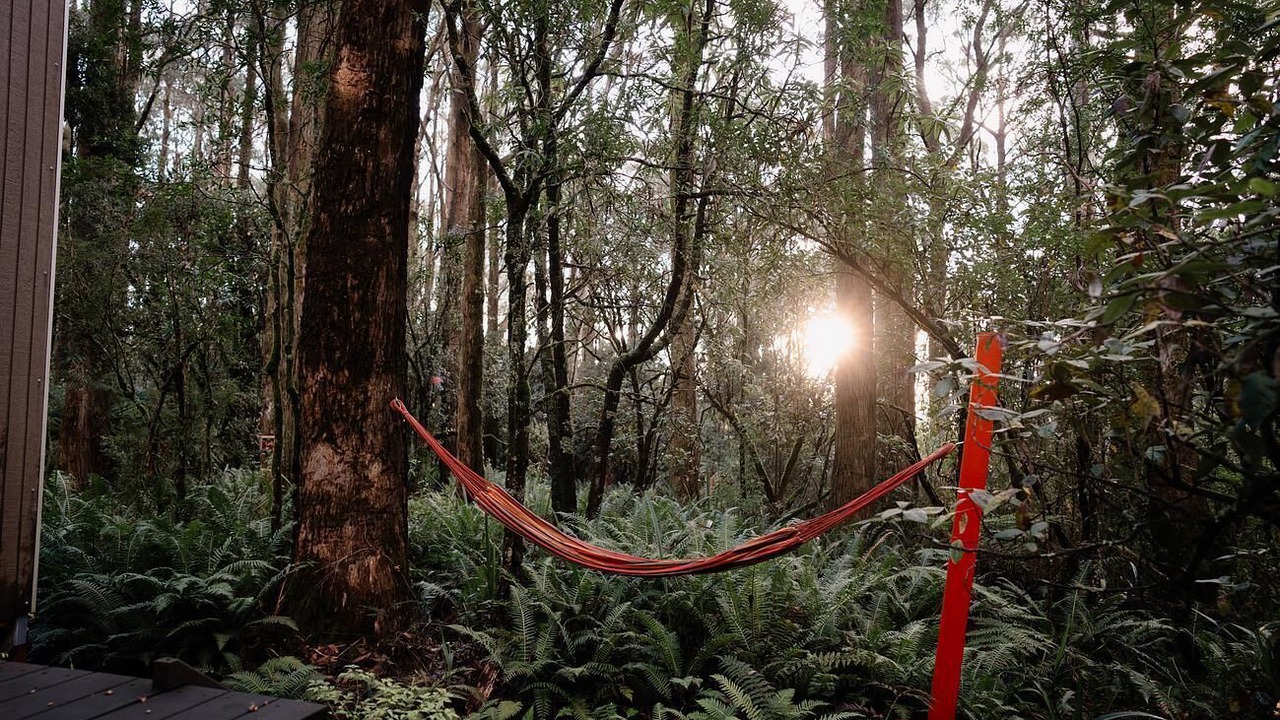 Photo of Outdoor in Benwerrin