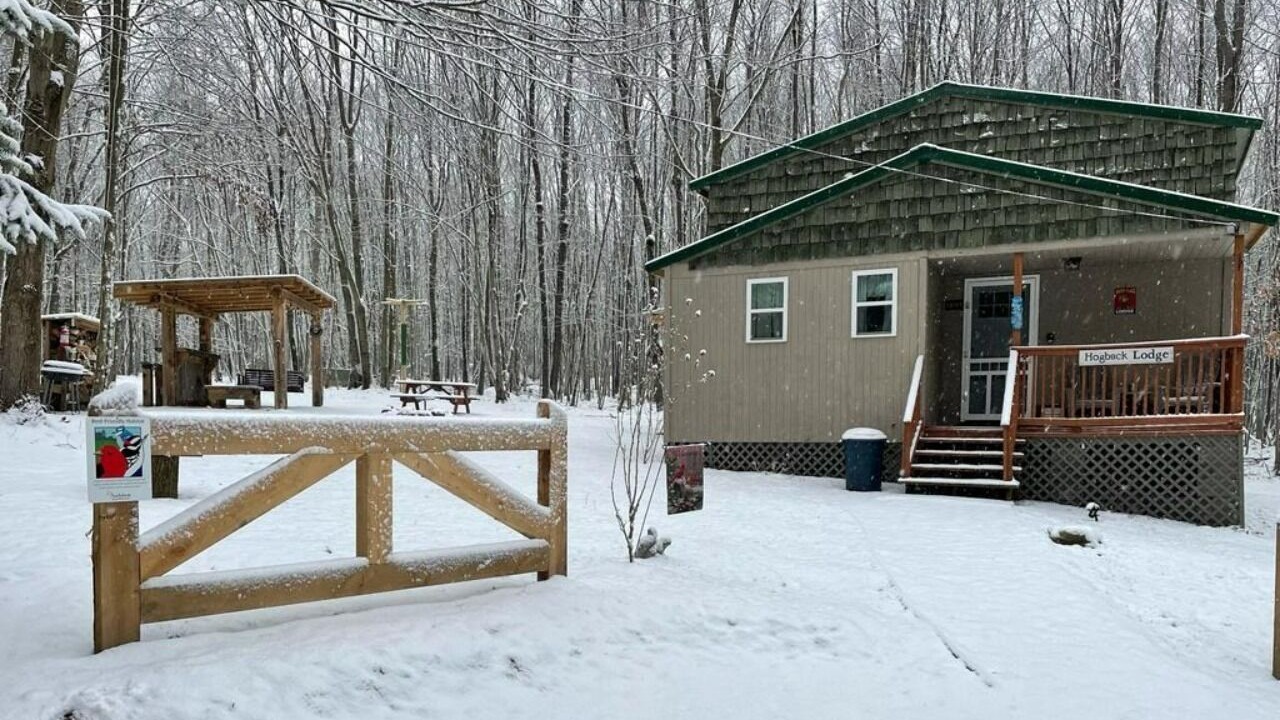 Photo of Others in Fryburg