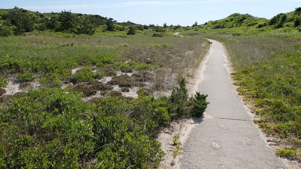 Photo of Others in Cherry Grove