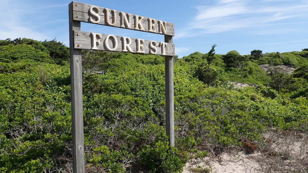 Photo of Outdoor in Cherry Grove