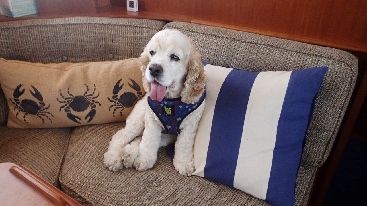 Photo of Others in Cherry Grove