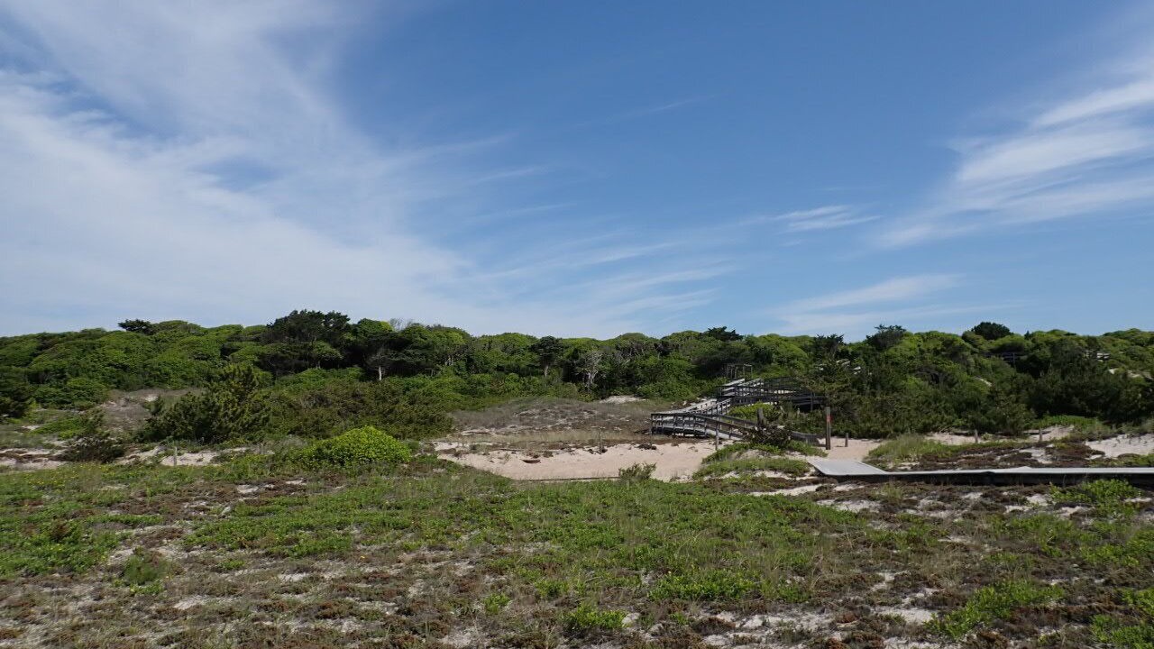 Photo of Outdoor in Cherry Grove