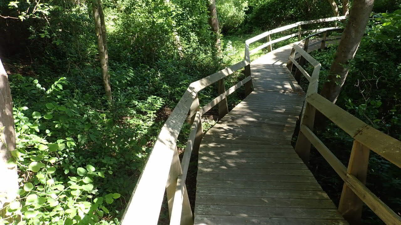 Photo of Outdoor in Cherry Grove