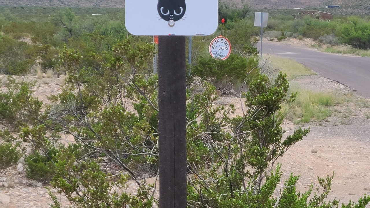 Photo of Outdoor in Alpine