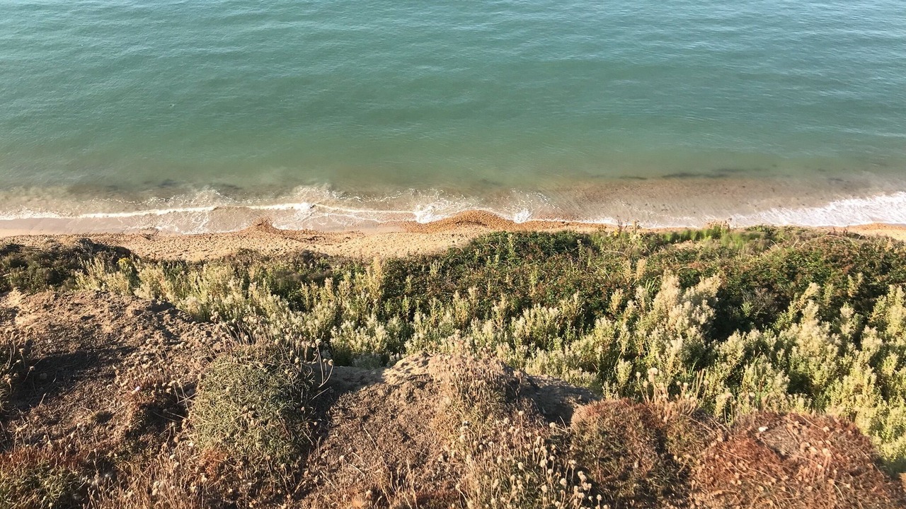 Photo of Others in Milford on Sea