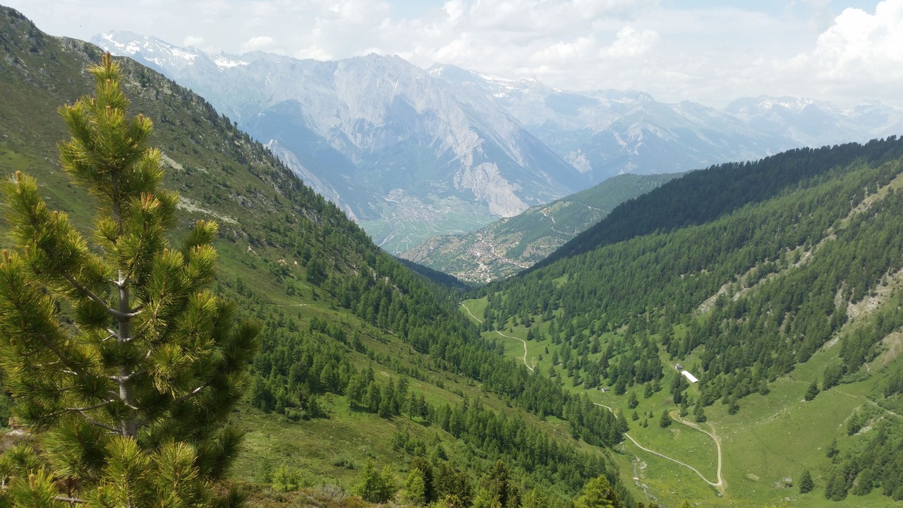 Photo of Outdoor in Riddes