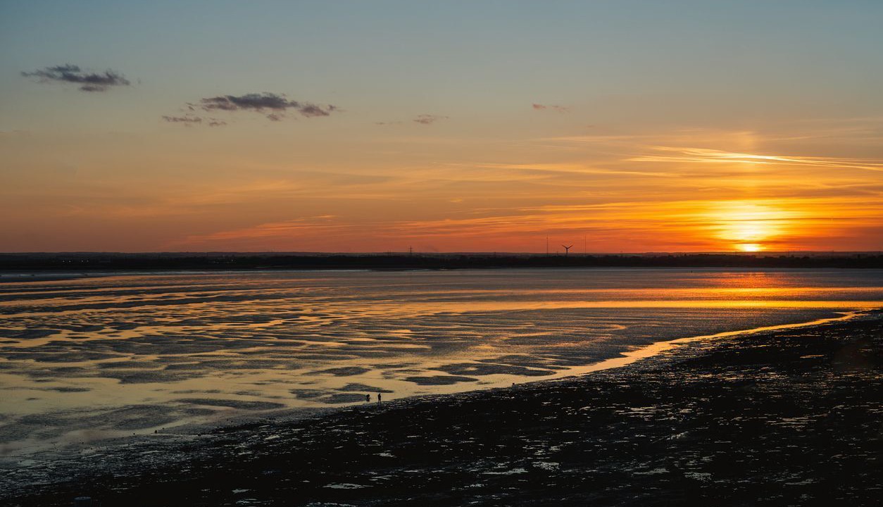 Photo of Others in Westmarsh