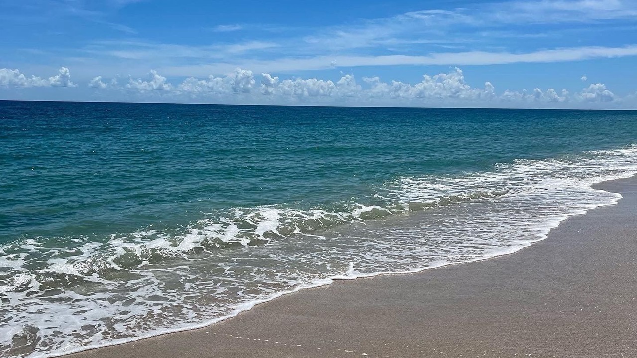 Photo of Others in South Beach