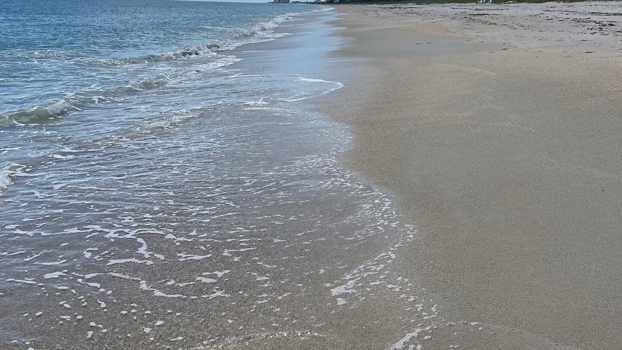 Photo of Others in South Beach