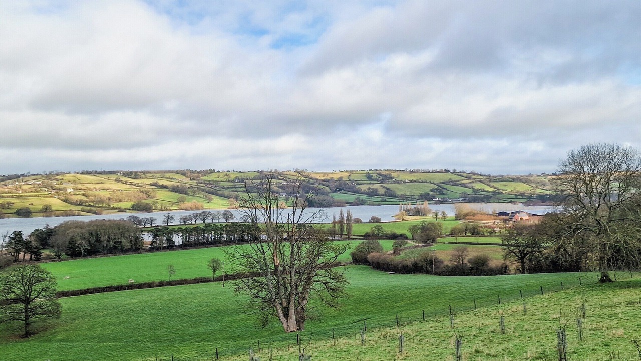 Photo of Others in Blagdon