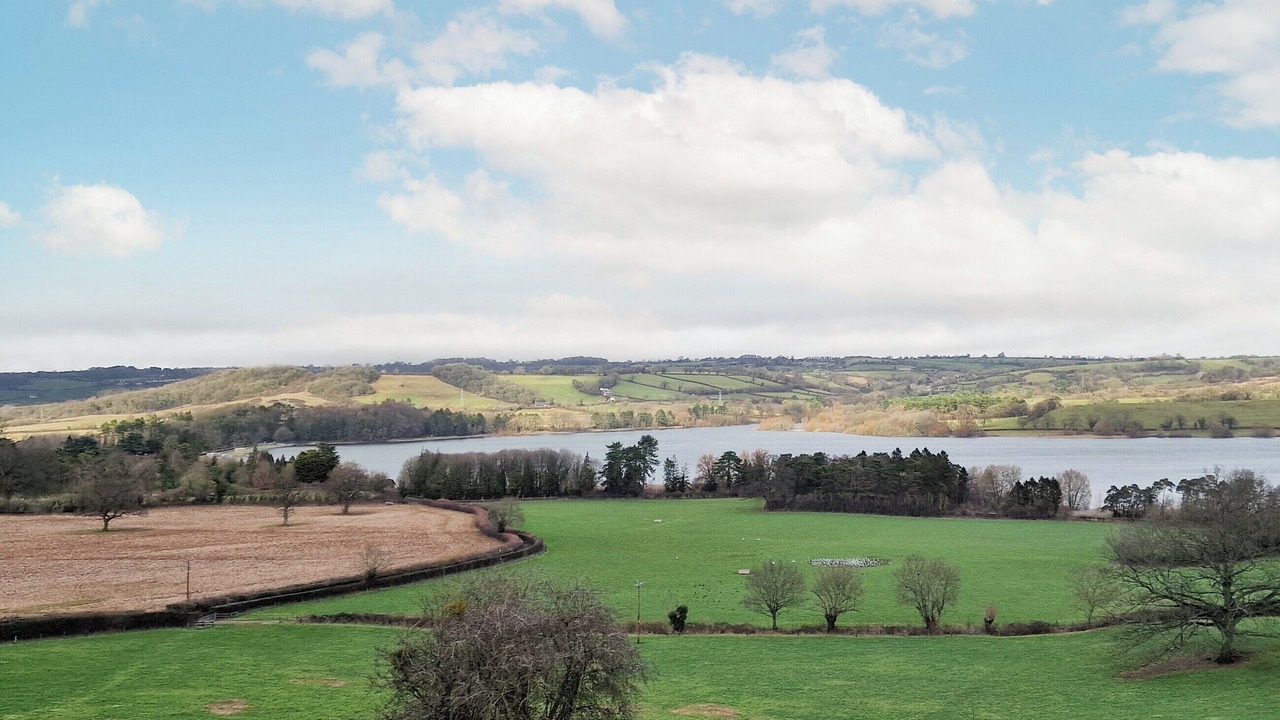 Photo of Others in Blagdon