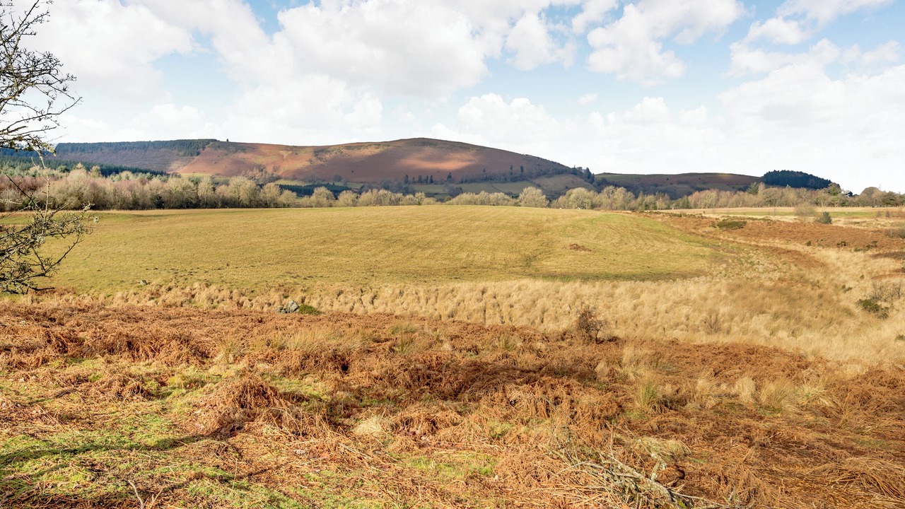 Photo of Others in Llandrindod Wells