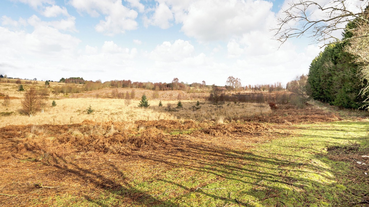 Photo of Others in Llandrindod Wells