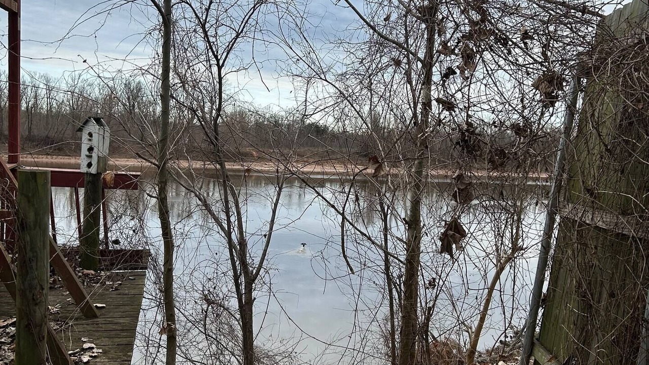 Photo of Others in Shreveport