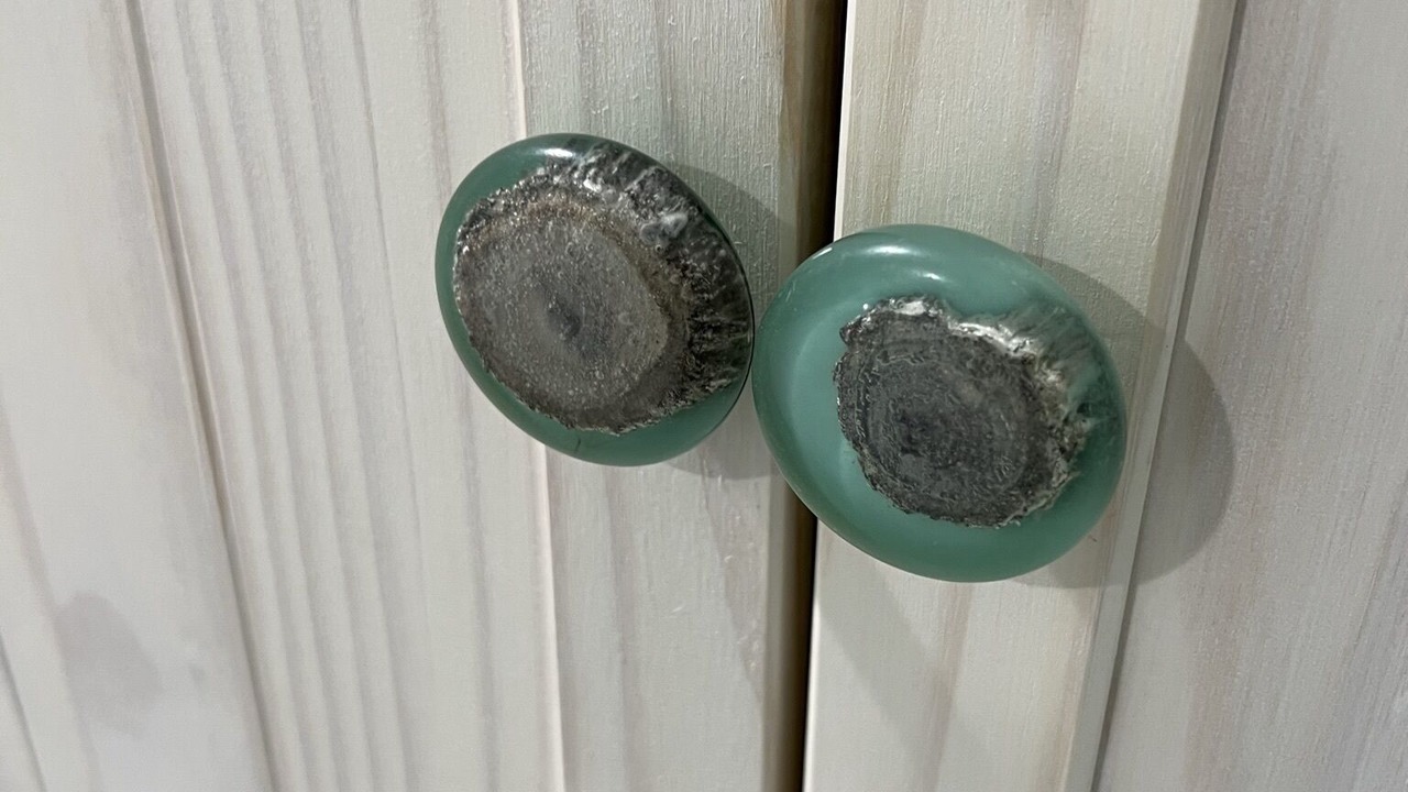 Photo of Others in Manasquan