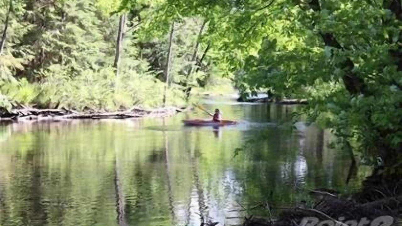 Photo of Others in Kawartha Lakes