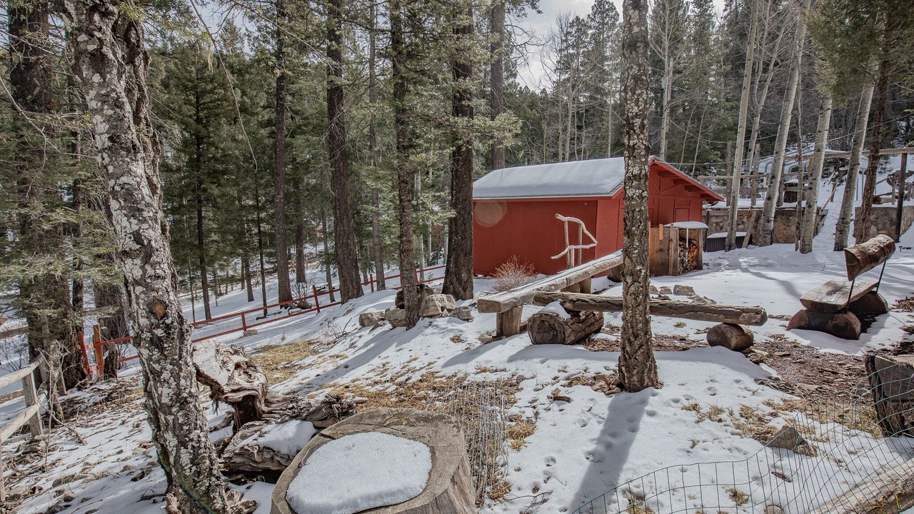 Photo of Outdoor in Cloudcroft