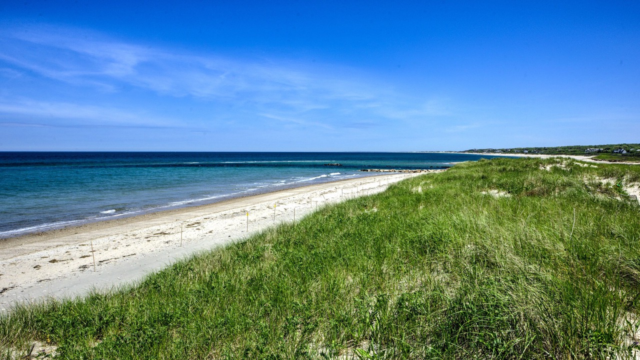 Photo of Others in East Sandwich