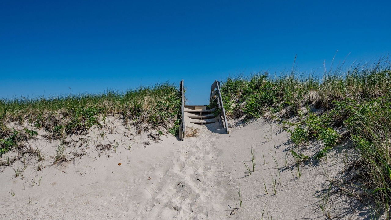 Photo of Others in East Sandwich
