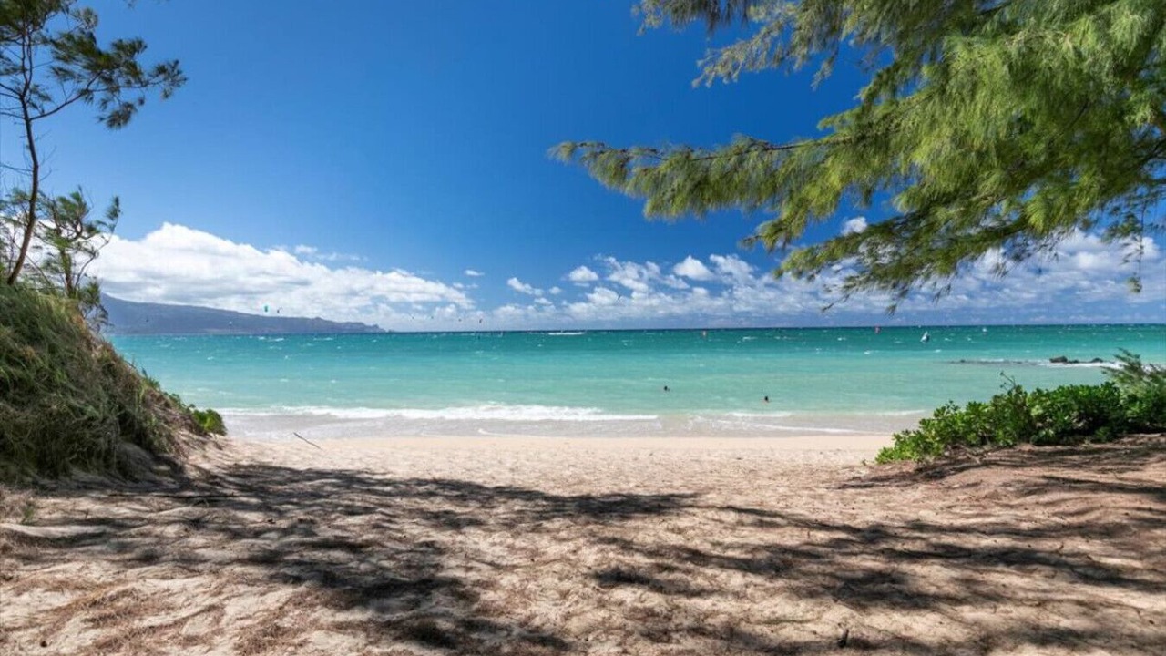 Photo of Others in Wailuku