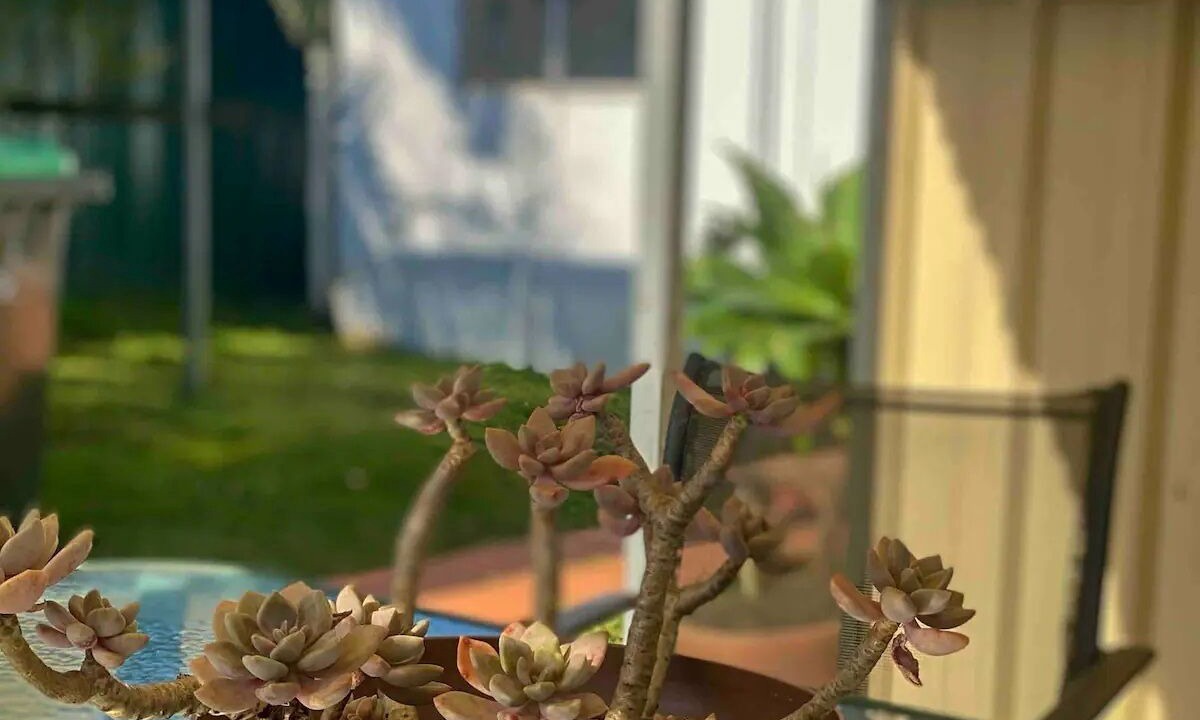 Photo of Outdoor in Padstow