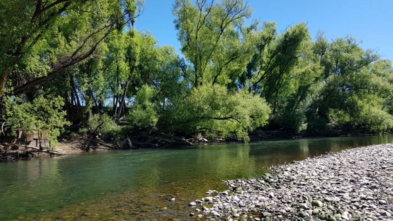 Photo of Others in Alexandra