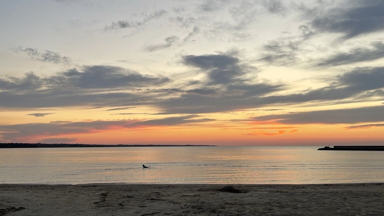 Photo of Others in Port Elgin