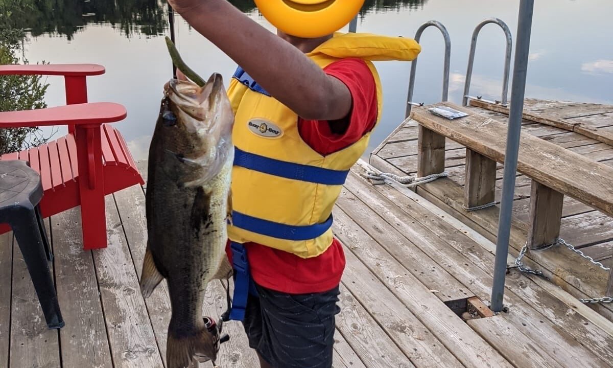 Photo of Others in Lake of Bays