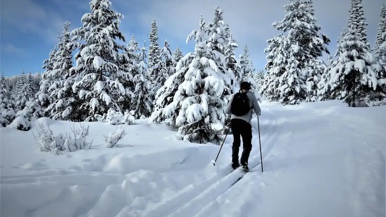 Photo of Others in Bend