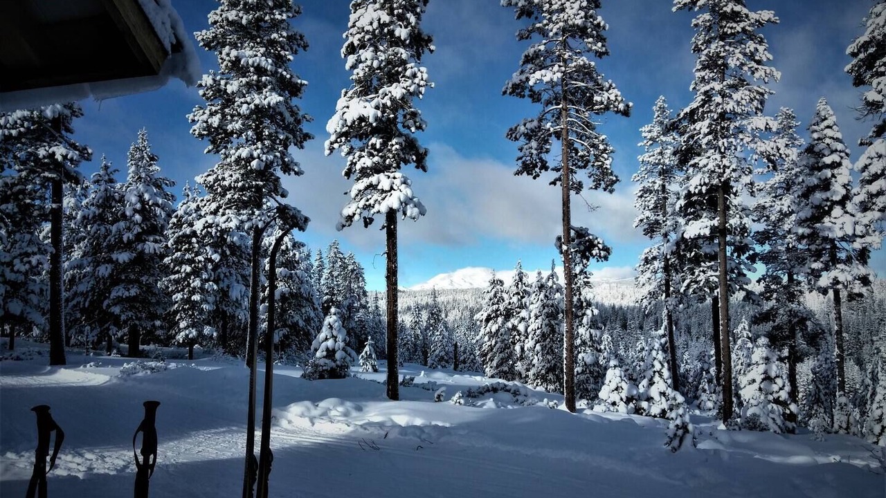 Photo of Others in Bend