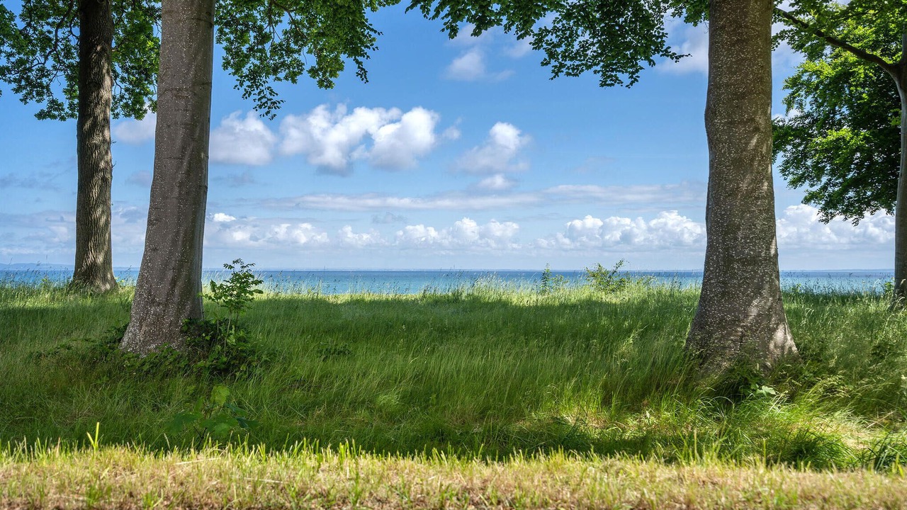 Photo of Others in Dronningmolle