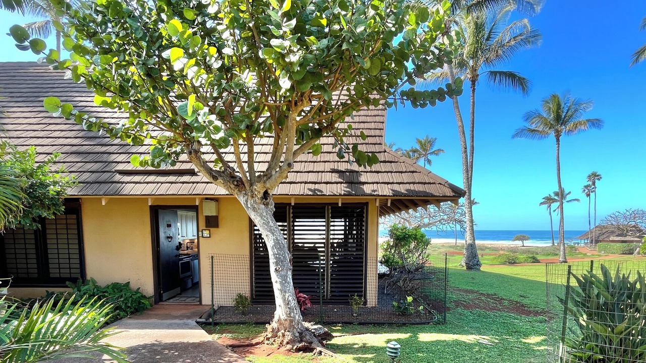 Photo of Others in Maunaloa