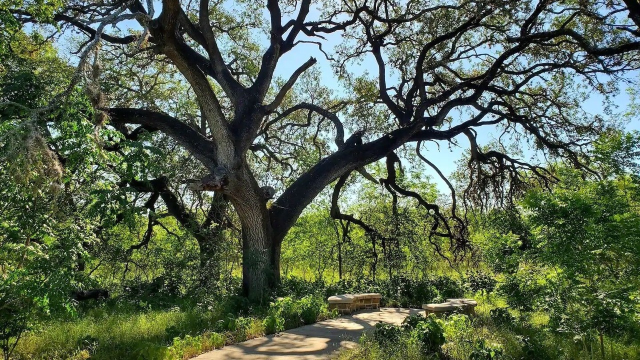 Photo of Outdoor in San Antonio