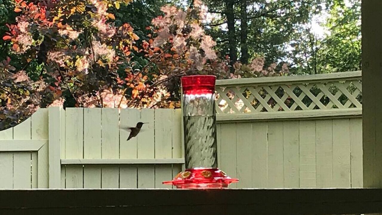 Photo of Outdoor in Hobart