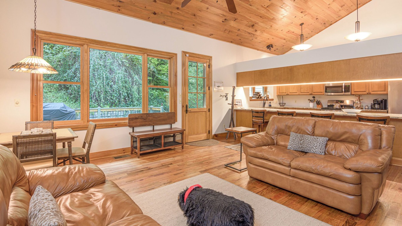 Photo of Livingroom in Hendersonville